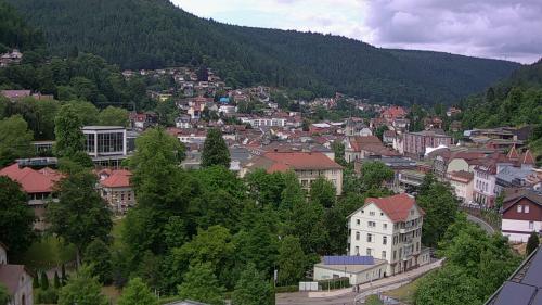 Webcam Bad Wildbad