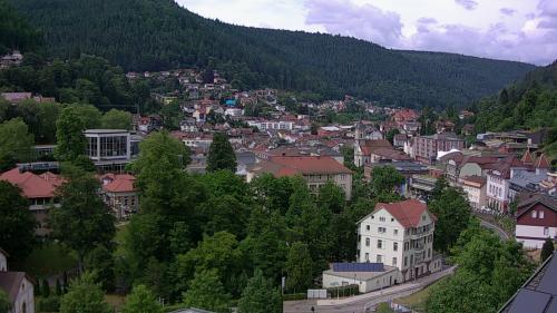 Webcam Bad Wildbad