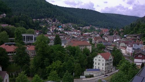 Webcam Bad Wildbad
