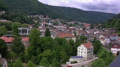 Webcam Bad Wildbad