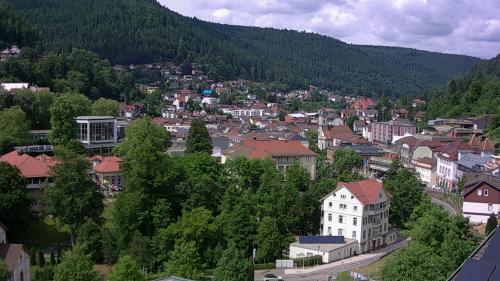 Webcam Bad Wildbad