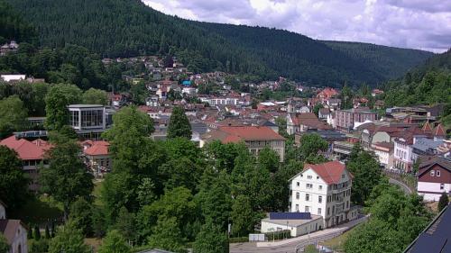 Webcam Bad Wildbad