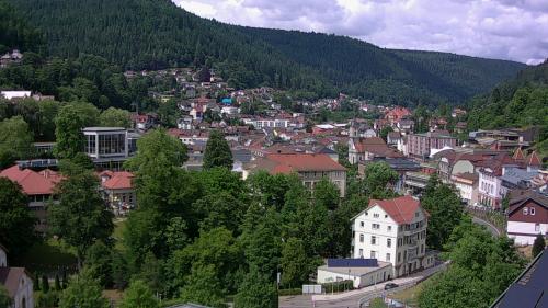 Webcam Bad Wildbad