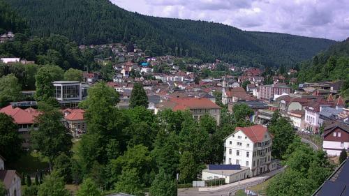 Webcam Bad Wildbad