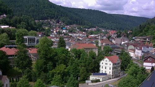 Webcam Bad Wildbad