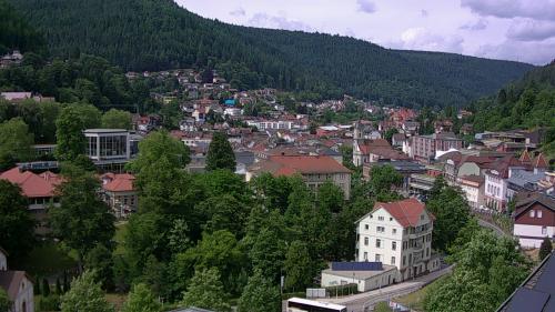 Webcam Bad Wildbad