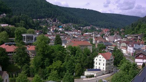 Webcam Bad Wildbad