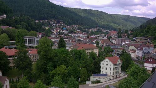 Webcam Bad Wildbad