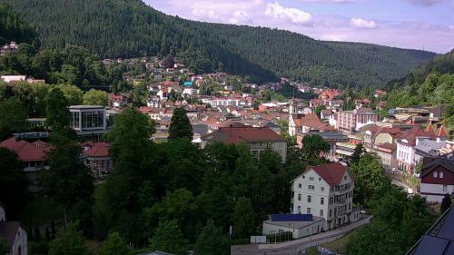 Webcam Bad Wildbad