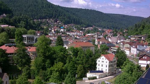 Webcam Bad Wildbad