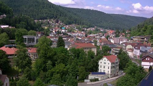Webcam Bad Wildbad