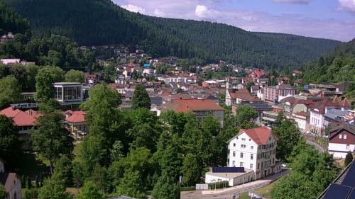 Webcam Bad Wildbad
