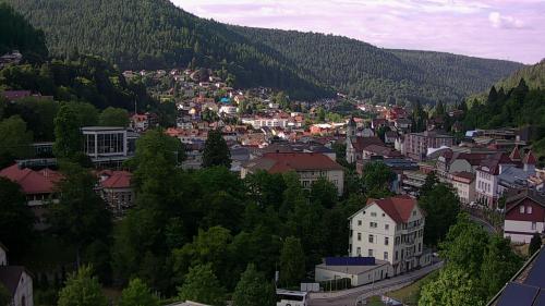 Webcam Bad Wildbad