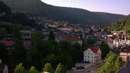 Webcam Bad Wildbad