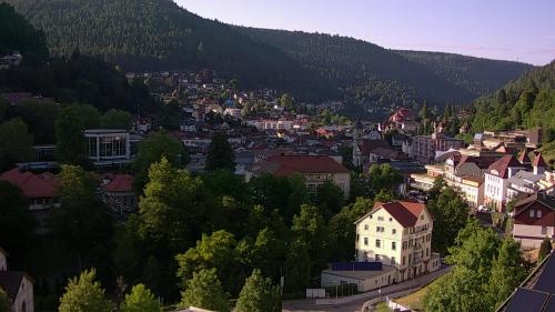 Webcam Bad Wildbad