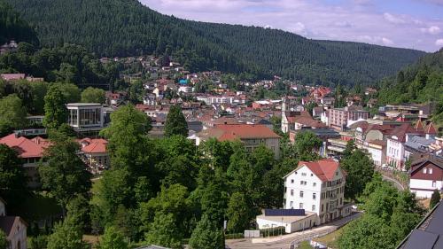 Webcam Bad Wildbad
