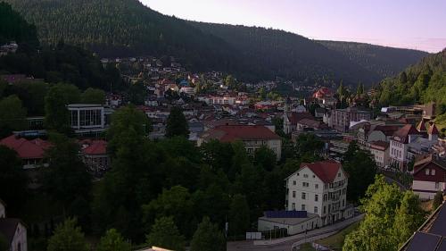 Webcam Bad Wildbad