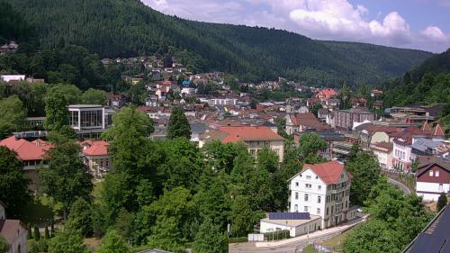 Webcam Bad Wildbad