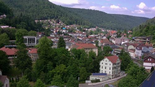 Webcam Bad Wildbad