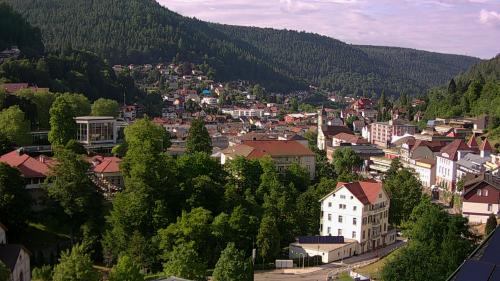 Webcam Bad Wildbad