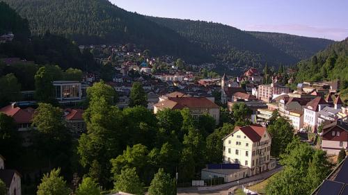 Webcam Bad Wildbad