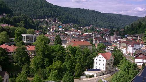 Webcam Bad Wildbad
