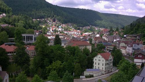 Webcam Bad Wildbad
