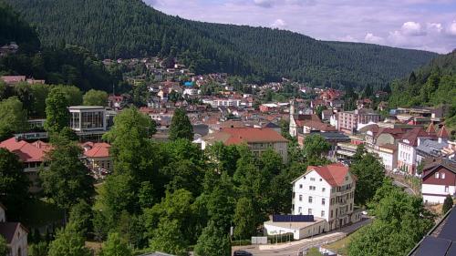 Webcam Bad Wildbad