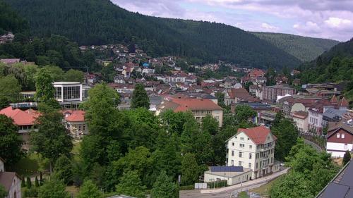 Webcam Bad Wildbad