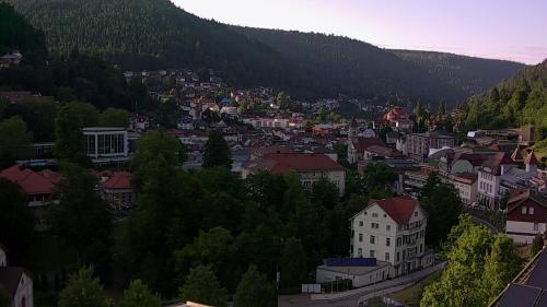 Webcam Bad Wildbad