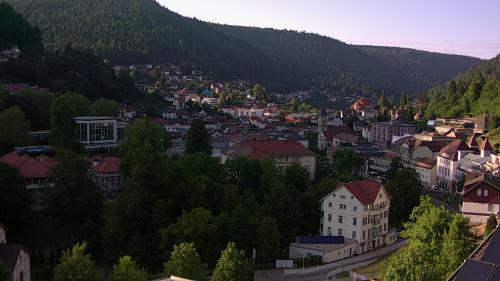 Webcam Bad Wildbad