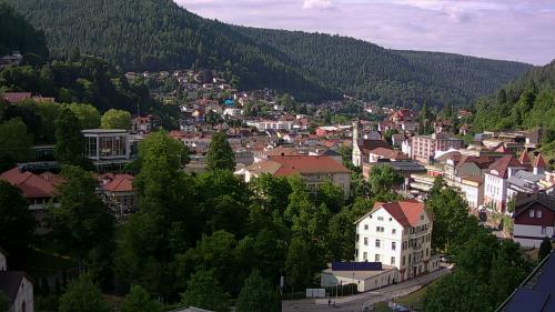 Webcam Bad Wildbad