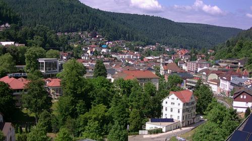 Webcam Bad Wildbad