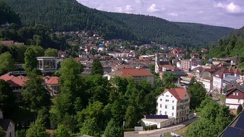 Webcam Bad Wildbad