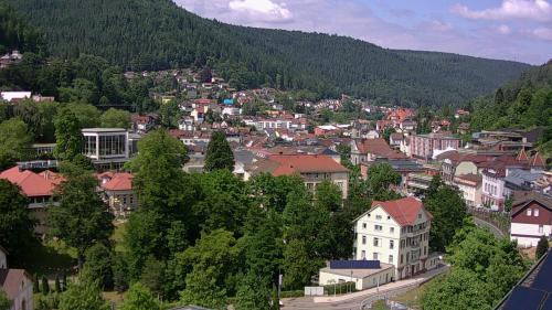 Webcam Bad Wildbad