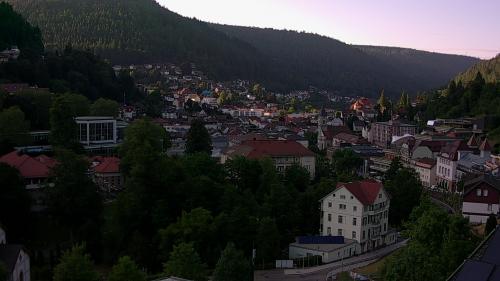 Webcam Bad Wildbad