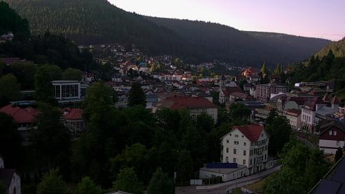 Webcam Bad Wildbad