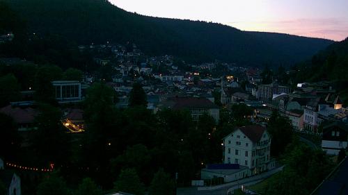Webcam Bad Wildbad