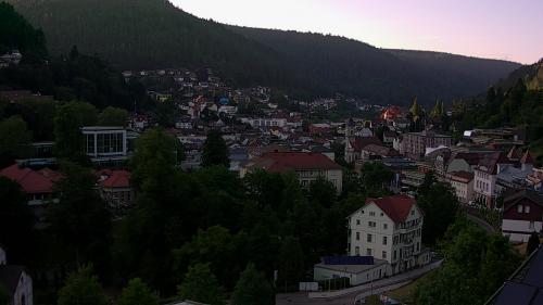 Webcam Bad Wildbad