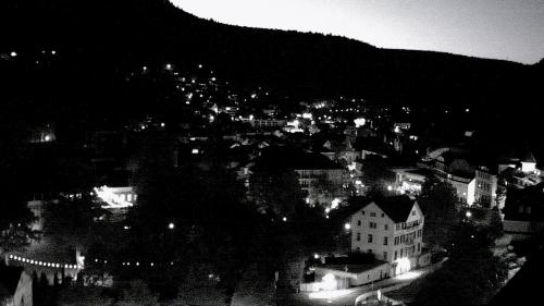 Webcam Bad Wildbad
