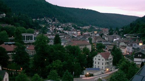 Webcam Bad Wildbad