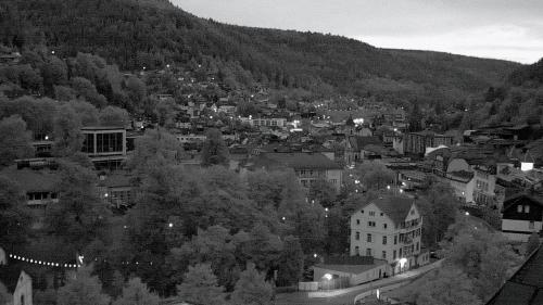 Webcam Bad Wildbad