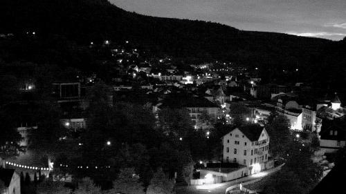 Webcam Bad Wildbad