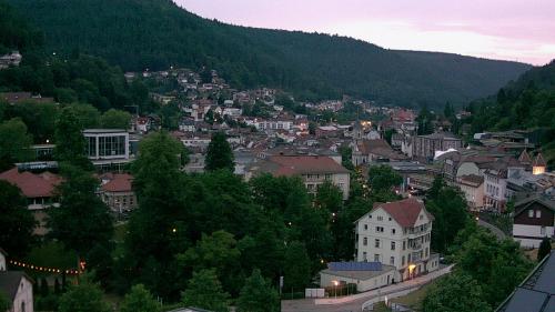 Webcam Bad Wildbad