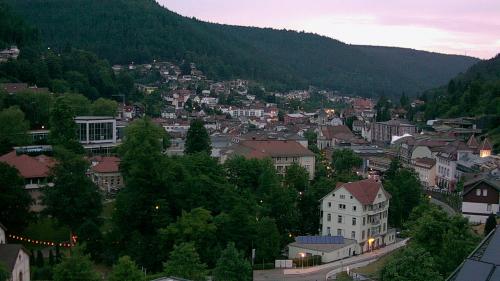 Webcam Bad Wildbad