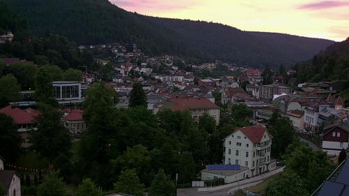 Webcam Bad Wildbad