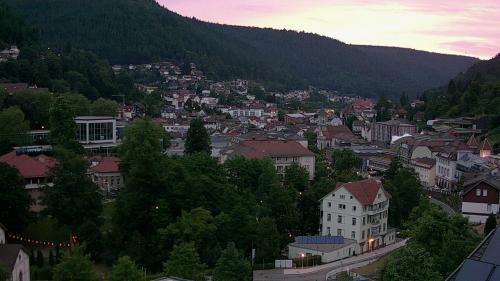 Webcam Bad Wildbad