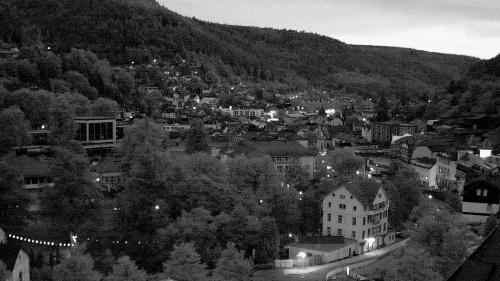 Webcam Bad Wildbad