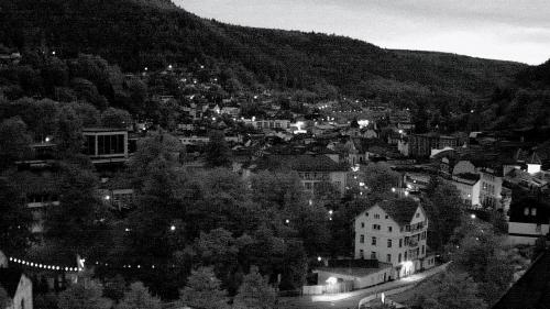 Webcam Bad Wildbad