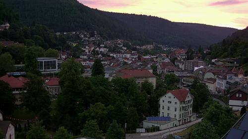 Webcam Bad Wildbad